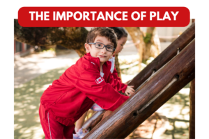 Read more about the article The Importance of Play