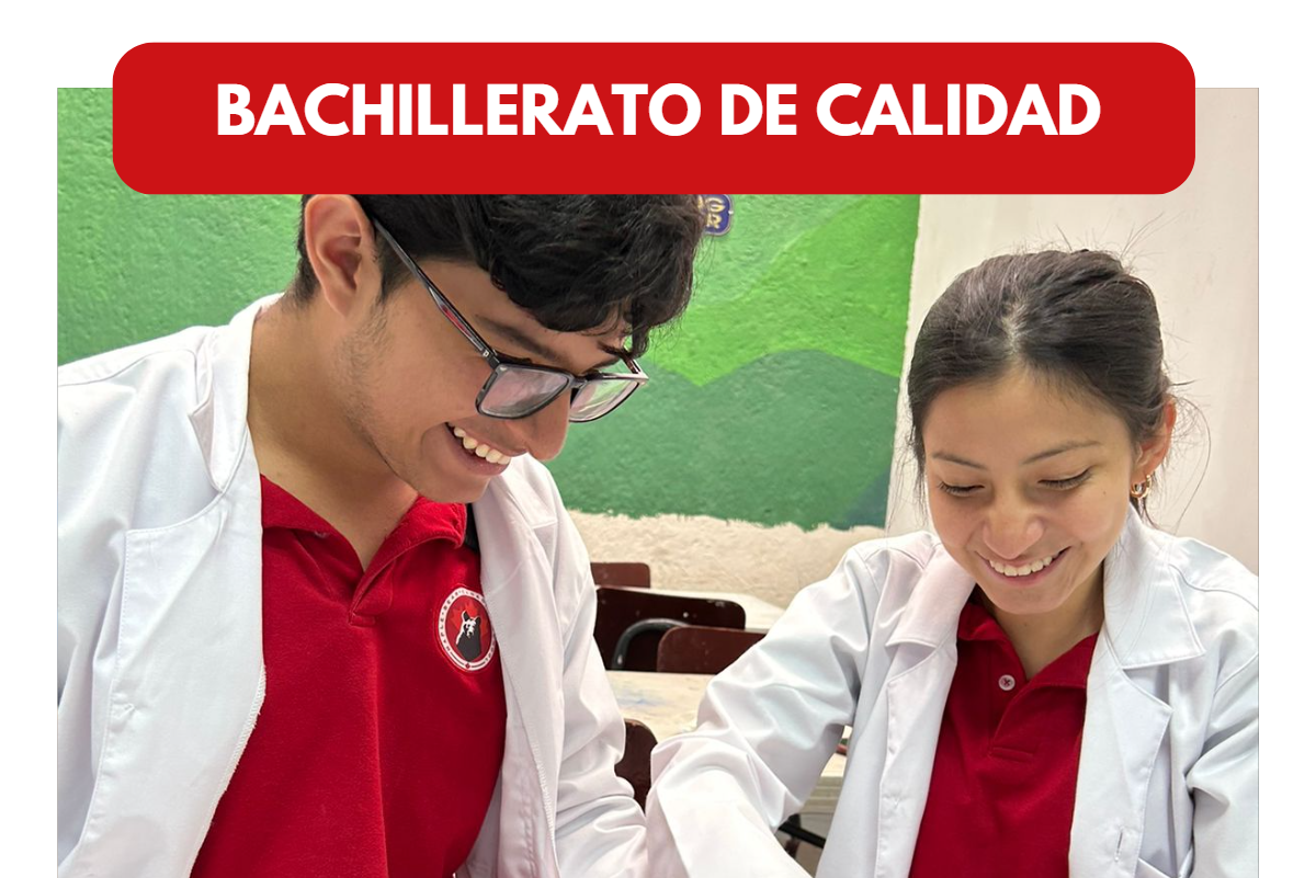 Read more about the article Bachillerato de Calidad | ¡Conoce Maple Bear Guatemala!