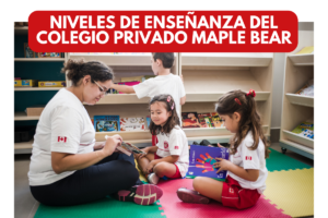 Read more about the article Niveles de Enseñanza del Colegio Privado Maple Bear