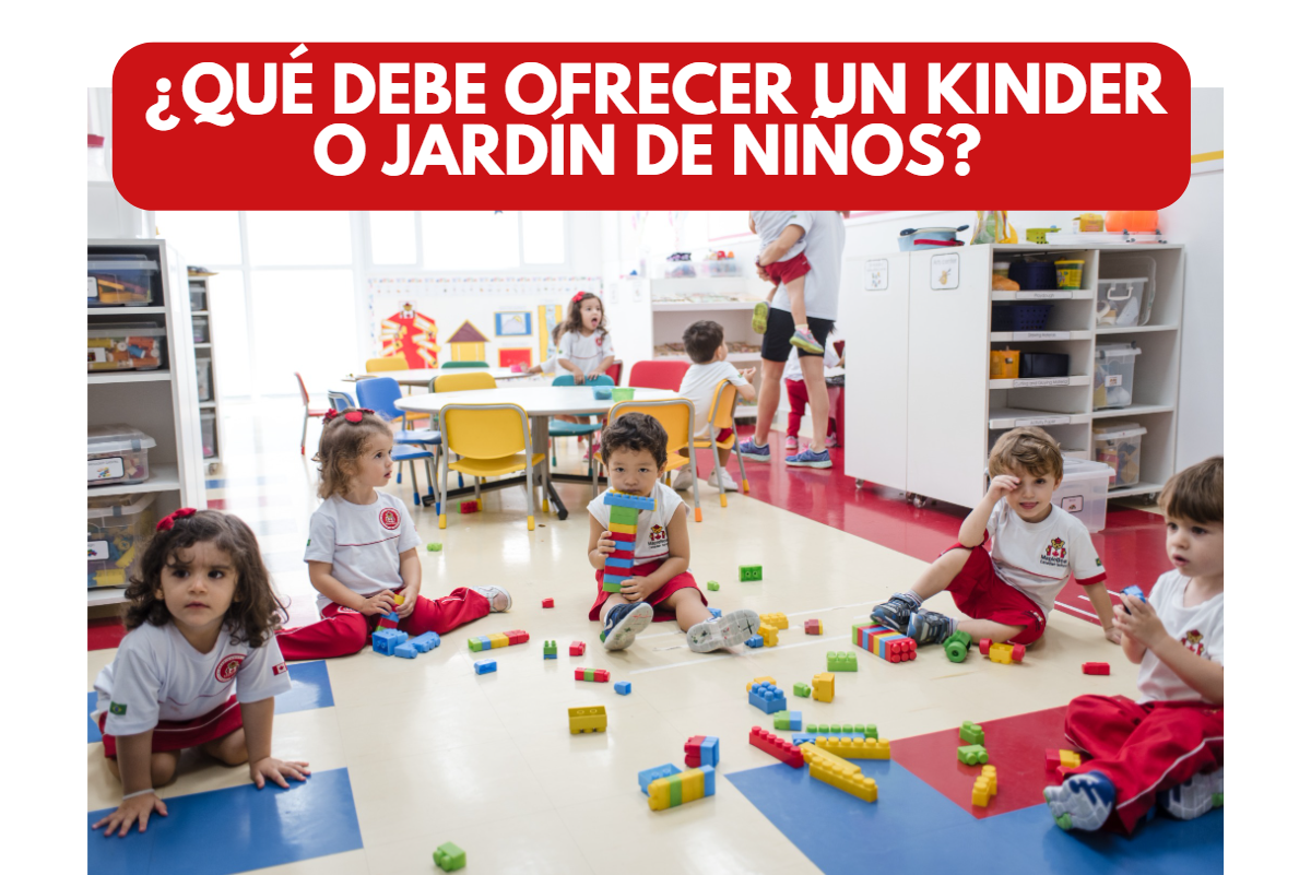 Read more about the article ¿Qué debe ofrecer un Kinder?